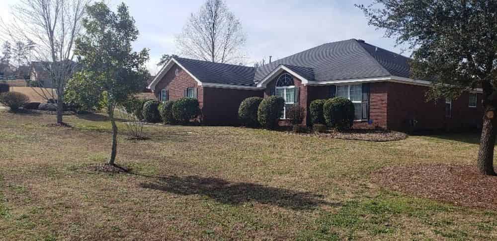 Tree and Shrub Services image