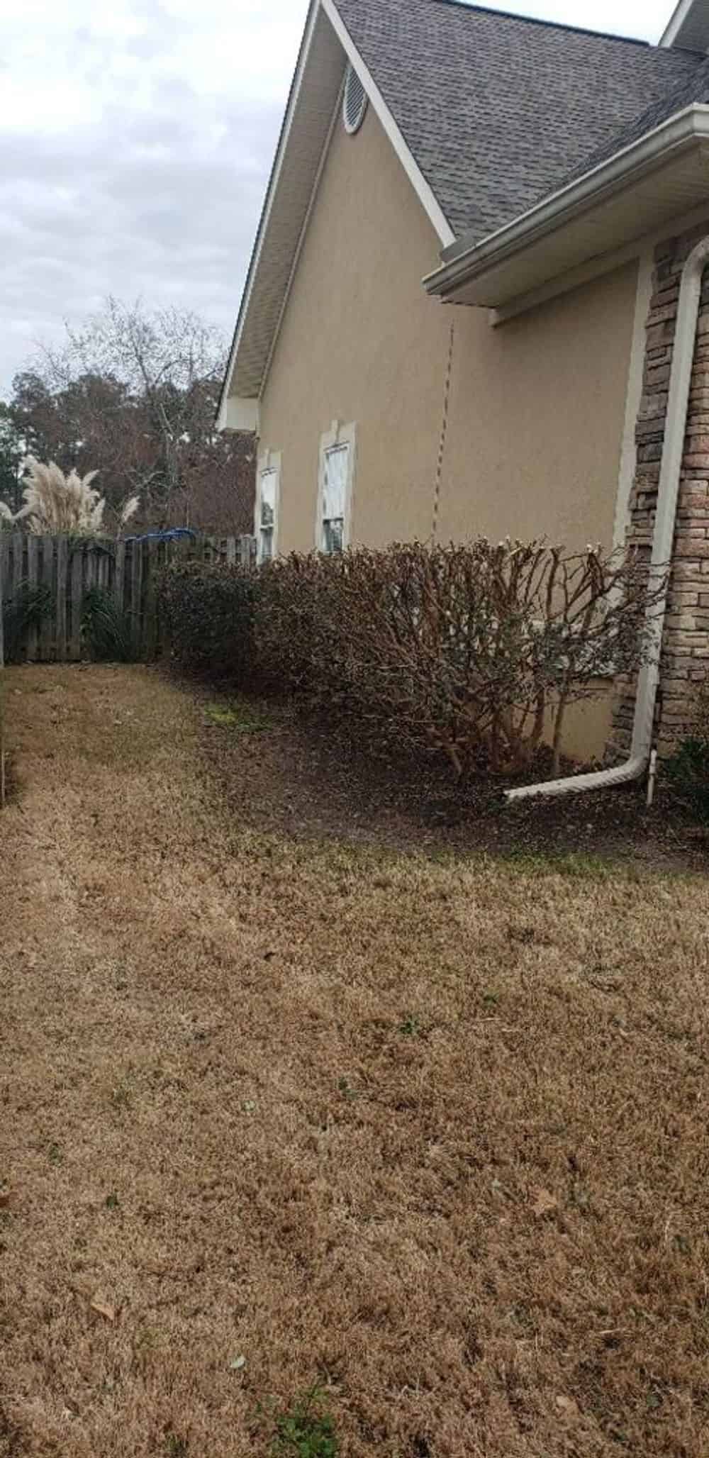 Mulching and Weed Control image