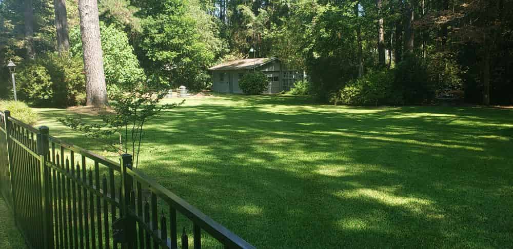 Lawn Care Services image